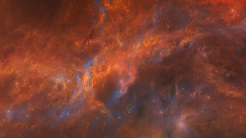 Cosmos Decor